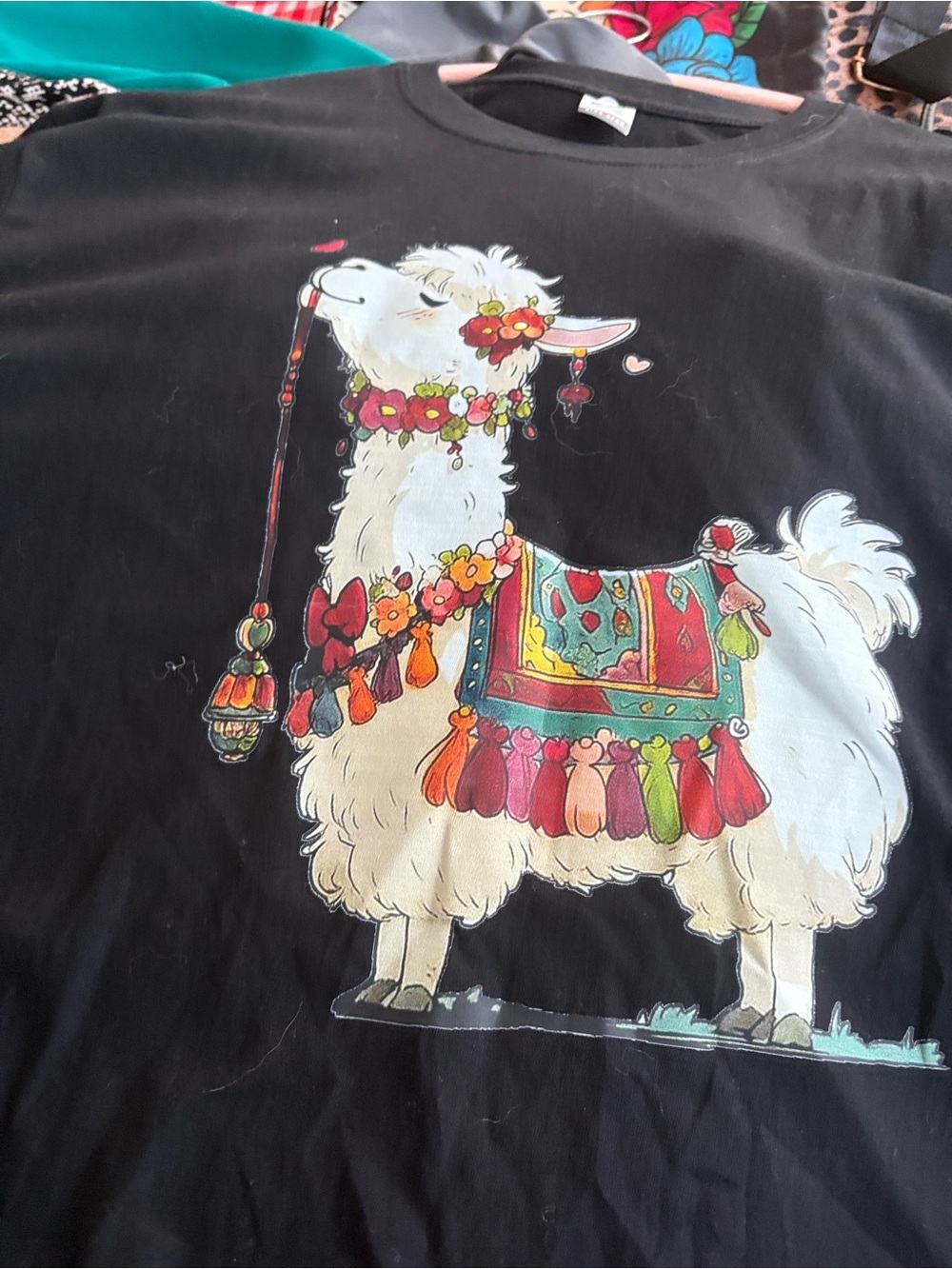 Whimsical Llama Graphic Tee in Black